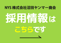 採用情報はこちら